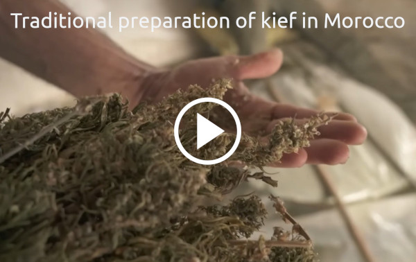 1:10min video about traditional preparaton of kief in morocco